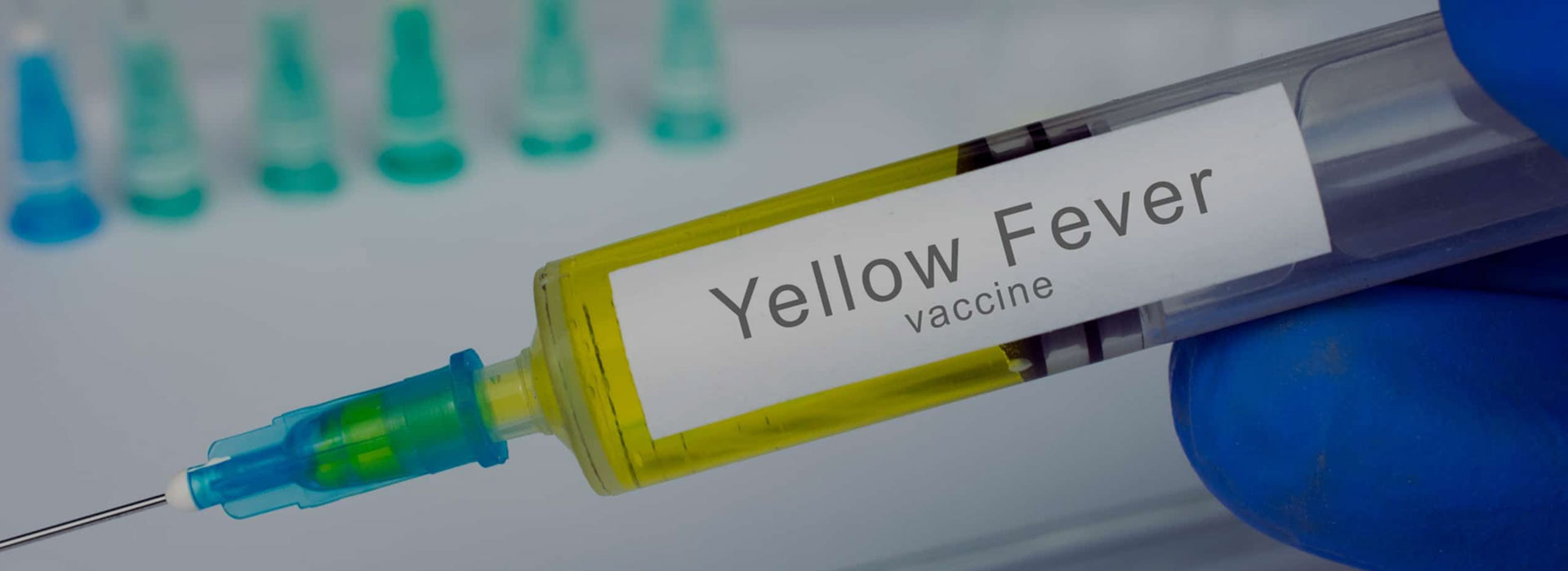 Yellow Fever Vaccine Calamvale